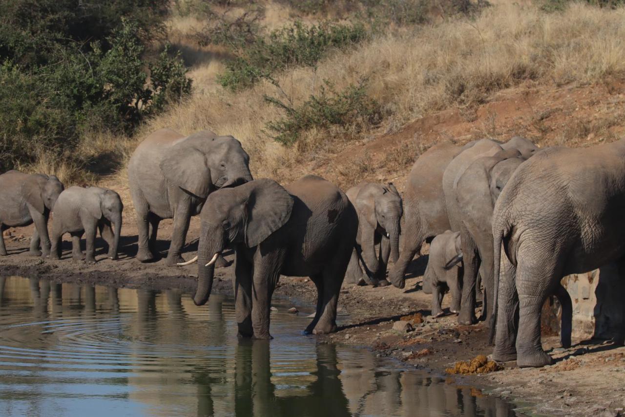 Ku Sungula Safari Lodge Balule viltreservat Exteriör bild