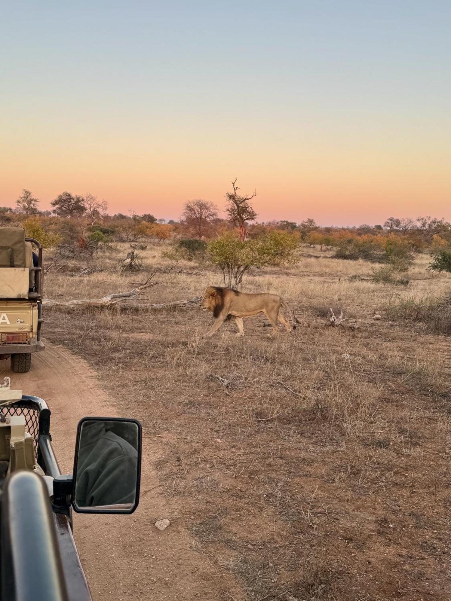 Ku Sungula Safari Lodge Balule viltreservat Exteriör bild