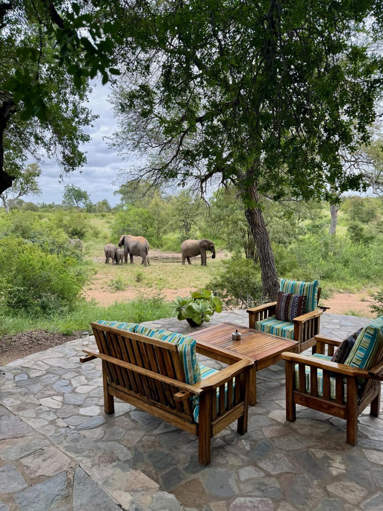 Ku Sungula Safari Lodge Balule viltreservat Exteriör bild