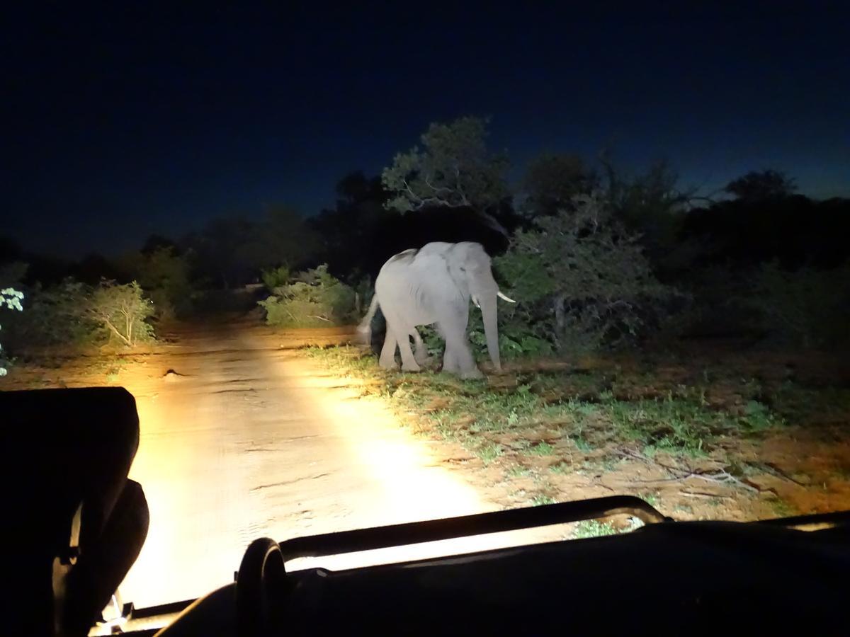 Ku Sungula Safari Lodge Balule viltreservat Exteriör bild