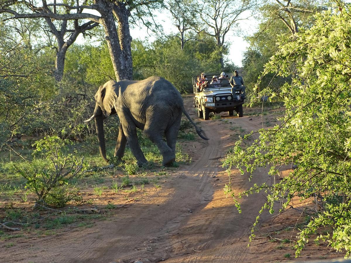 Ku Sungula Safari Lodge Balule viltreservat Exteriör bild