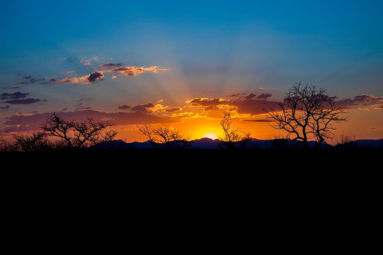 Ku Sungula Safari Lodge Balule viltreservat Exteriör bild